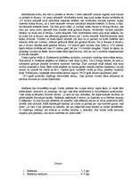 Referāts 'Cilvēks, kurš lika pamatus atombumbai - Alberts Einšteins', 11.