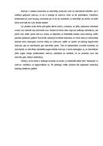 Referāts 'Intervija, tās veidi', 29.