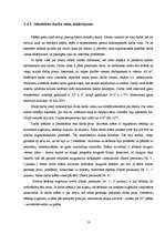 Prakses atskaite 'Iestāžu darba organizācija un vadība - kvalifikācijas prakses atskaite', 13.