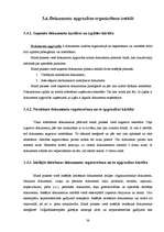 Prakses atskaite 'Iestāžu darba organizācija un vadība - kvalifikācijas prakses atskaite', 38.