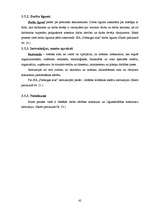 Prakses atskaite 'Iestāžu darba organizācija un vadība - kvalifikācijas prakses atskaite', 42.