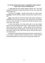 Prakses atskaite 'Iestāžu darba organizācija un vadība - kvalifikācijas prakses atskaite', 61.