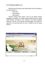 Prakses atskaite 'Iestāžu darba organizācija un vadība - kvalifikācijas prakses atskaite', 88.