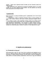 Referāts 'A/s "Rīgas Piensaimnieks" uzņēmējdarbības ekonomiskais raksturojums', 15.