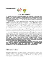 Referāts 'A/s "Rīgas Piensaimnieks" uzņēmējdarbības ekonomiskais raksturojums', 17.