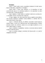 Referāts 'Līguma apraksts', 8.