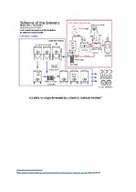 Konspekts 'Alus tehnoloģiskais process', 17.