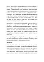 Referāts 'Militārā revolūcija (1500-1800)', 12.