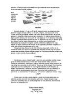 Referāts 'Romiešu armija', 6.