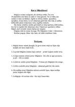 Konspekts 'Miķeļdiena', 2.