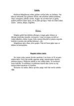 Konspekts 'Miķeļdiena', 3.