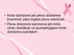 Prezentācija 'Krūts vēzis', 2.