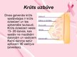 Prezentācija 'Krūts vēzis', 3.