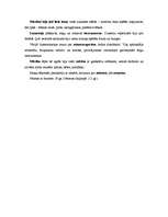 Konspekts 'Viduslaiku mūzika', 3.