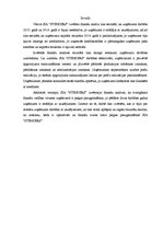 Referāts 'Operatīvās un finanšu sviras loma peļņas paaugstināšanā uzņēmumā SIA "Stenders"', 2.