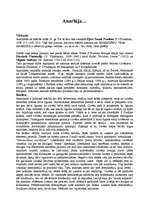 Referāts 'Anarhija', 1.