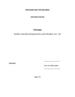 Referāts 'Senās Ķīnas filosofu politiskie uzskati', 1.