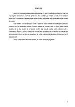 Referāts 'Audita vēsture', 3.