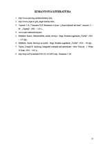 Referāts 'Audita vēsture', 13.