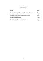 Referāts 'Mikro vai ģimenes uzņēmumu vadīšana', 2.