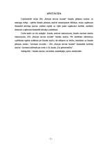 Diplomdarbs 'SIA "Baltijas servisa bizness" finansiālās darbības analīze', 2.