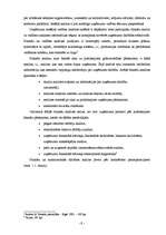 Diplomdarbs 'SIA "Baltijas servisa bizness" finansiālās darbības analīze', 9.