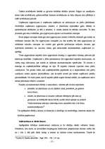 Diplomdarbs 'SIA "Baltijas servisa bizness" finansiālās darbības analīze', 17.