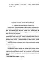 Diplomdarbs 'SIA "Baltijas servisa bizness" finansiālās darbības analīze', 19.