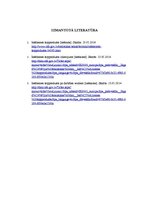 Referāts 'Iekšzemes kopprodukts', 5.