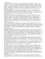 Eseja 'Business Plan - AirSoft', 1.