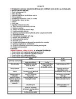 Paraugs 'Bilance', 1.