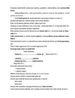 Konspekts 'Grāmatvedības kontu sistēma', 1.