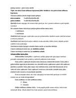 Konspekts 'Grāmatvedības kontu sistēma', 2.