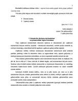 Konspekts 'Grāmatvedības kontu sistēma', 3.