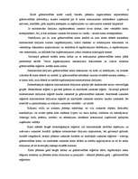 Konspekts 'Grāmatvedības kontu sistēma', 4.