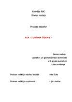 Prakses atskaite 'Prakses atskaite grāmatvedībā', 1.