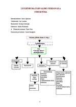 Prakses atskaite 'Prakses atskaite grāmatvedībā', 6.