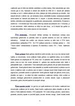 Prakses atskaite 'Prakses atskaite grāmatvedībā', 14.