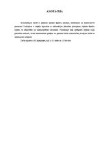 Diplomdarbs 'Optisko tīklu risinājumi', 5.