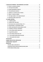 Diplomdarbs 'Optisko tīklu risinājumi', 11.