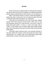 Diplomdarbs 'Optisko tīklu risinājumi', 12.