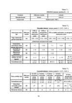 Diplomdarbs 'Optisko tīklu risinājumi', 39.