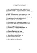 Diplomdarbs 'Optisko tīklu risinājumi', 63.