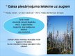 Prezentācija 'Gaisa piesārņojuma ietekme uz vidi', 13.