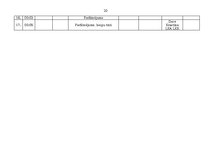 Referāts 'Īsfilma "Mazs mazā pilsētā"', 20.