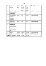 Referāts 'Īsfilma "Mazs mazā pilsētā"', 24.