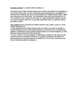 Konspekts 'Zināšanu iedalījums pēc satura un objekta apraksts', 3.