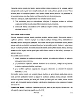 Diplomdarbs 'Finanšu darbības analīze uzņēmumā', 10.