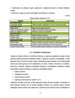 Diplomdarbs 'Finanšu darbības analīze uzņēmumā', 13.