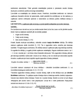 Diplomdarbs 'Finanšu darbības analīze uzņēmumā', 14.